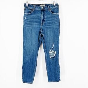 Abercrombie & Fitch Curve Love The Mom High Rise Jeans SHORT